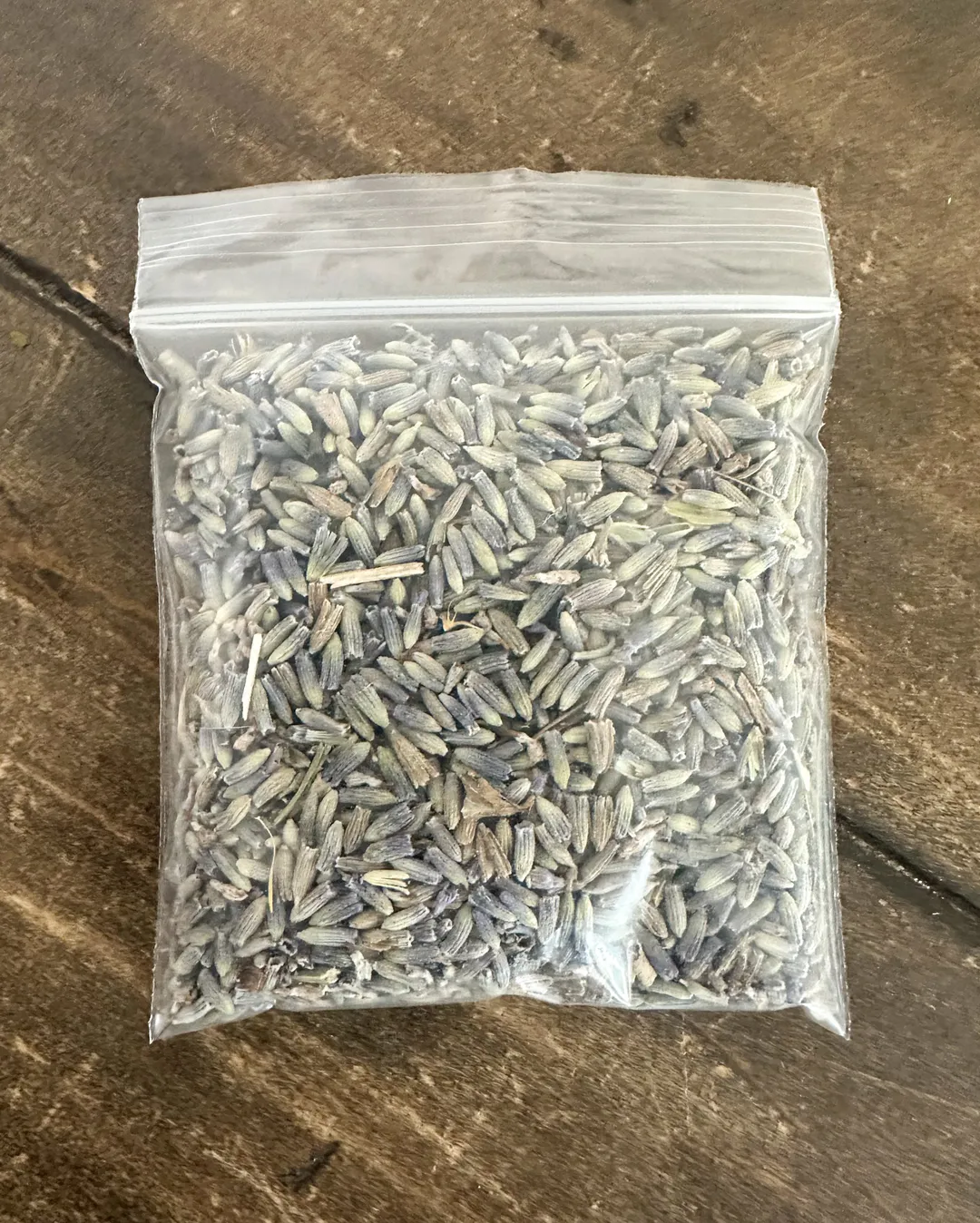 Lavender flower buds - No Labels