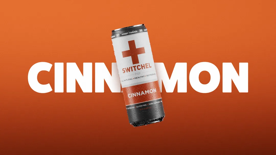4-pack of HF Cinnamon Switchel Fizz 
