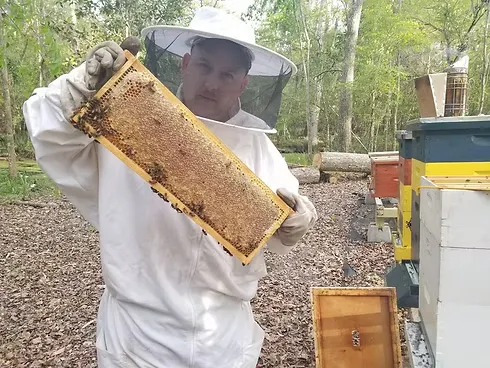 Raw Honey 10oz