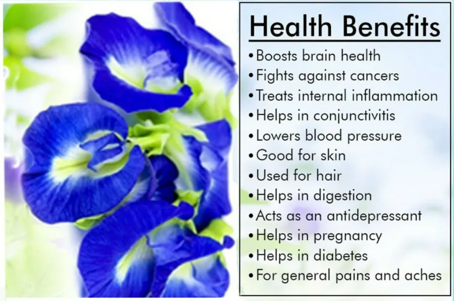 Blue Razz Honey Tea - All-In-One - Instant Tea