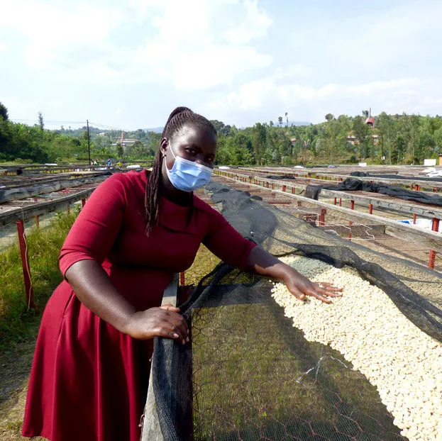 Agasake's Rwanda | Medium-Light Roast
