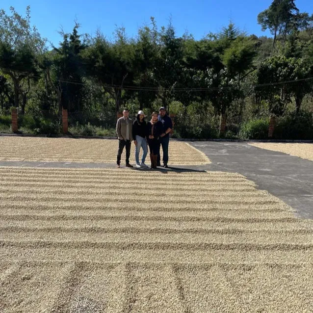 Lilly's Guatemala | Medium Roast