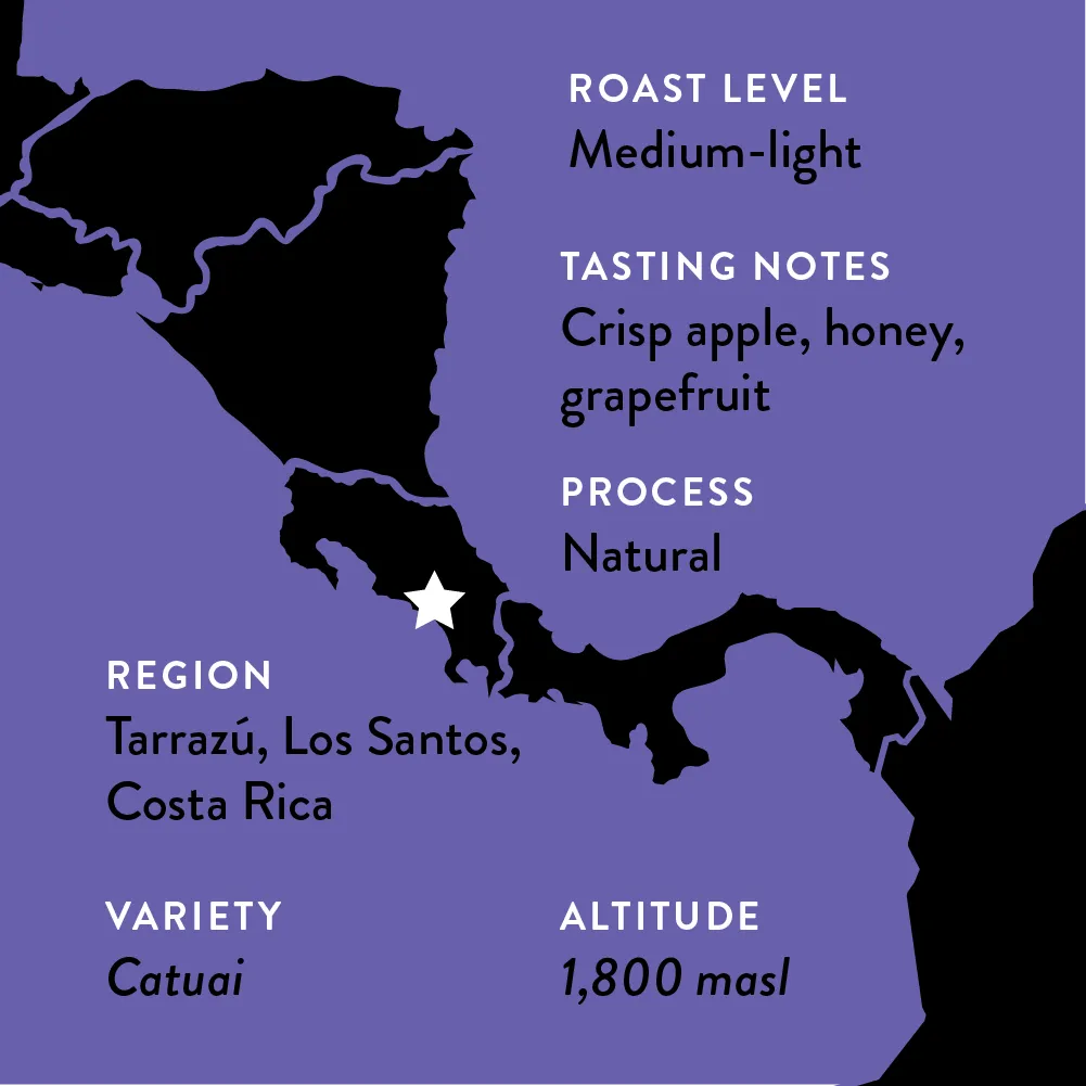 Mayra's Costa Rica | Medium-Light Roast