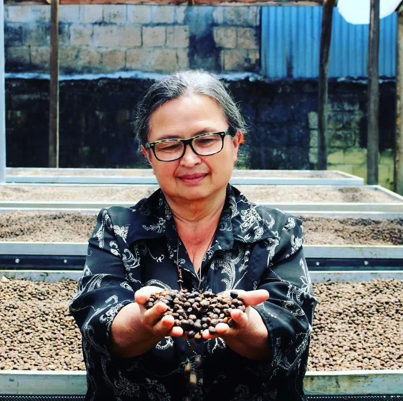 Mayra's Costa Rica | Medium-Light Roast
