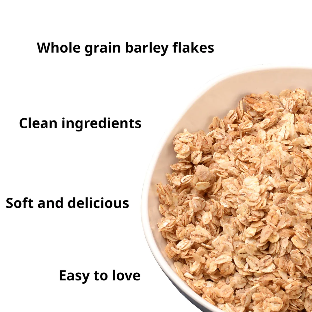 Honey Granola Bulk - 5lb