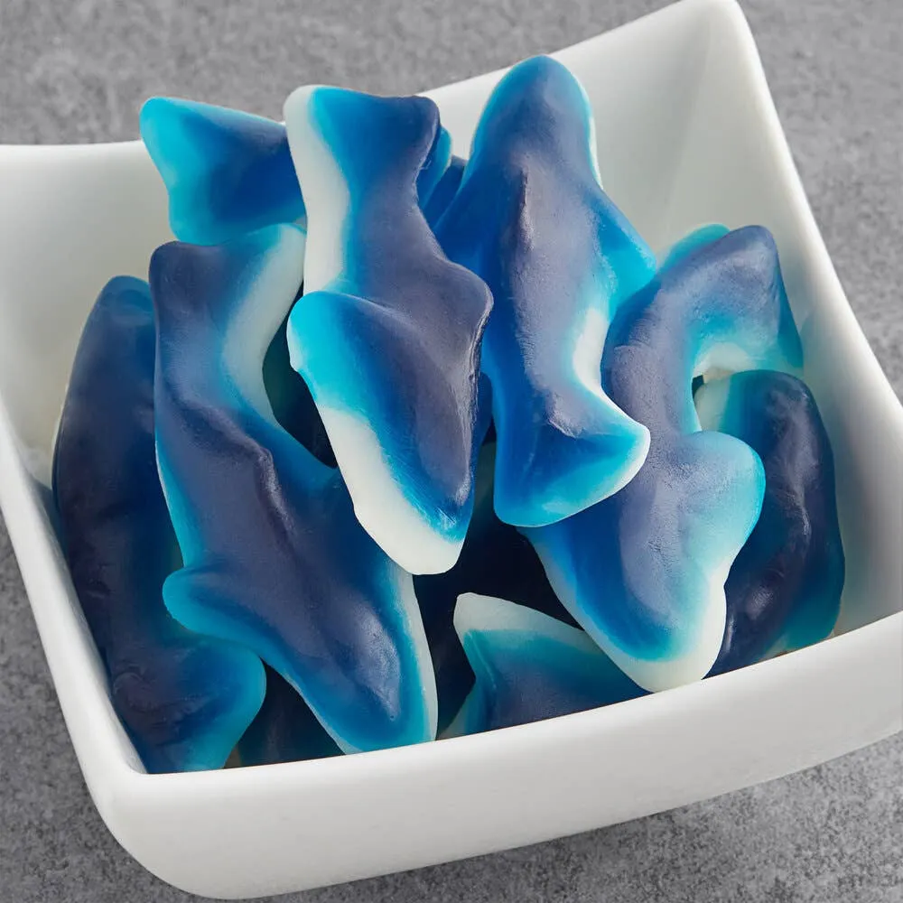 Kervan Gummi Sharks Bag Bulk 5lb - 1ct