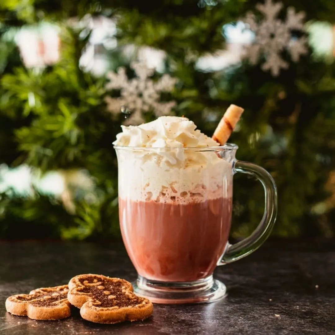 Gingerbread Cookie Alcohol Infusion Cocktail Kit