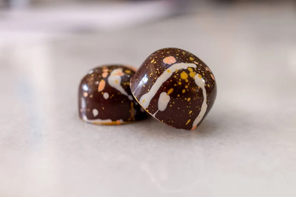 Dark Chocolate Collection - 12 Piece BonBon Box