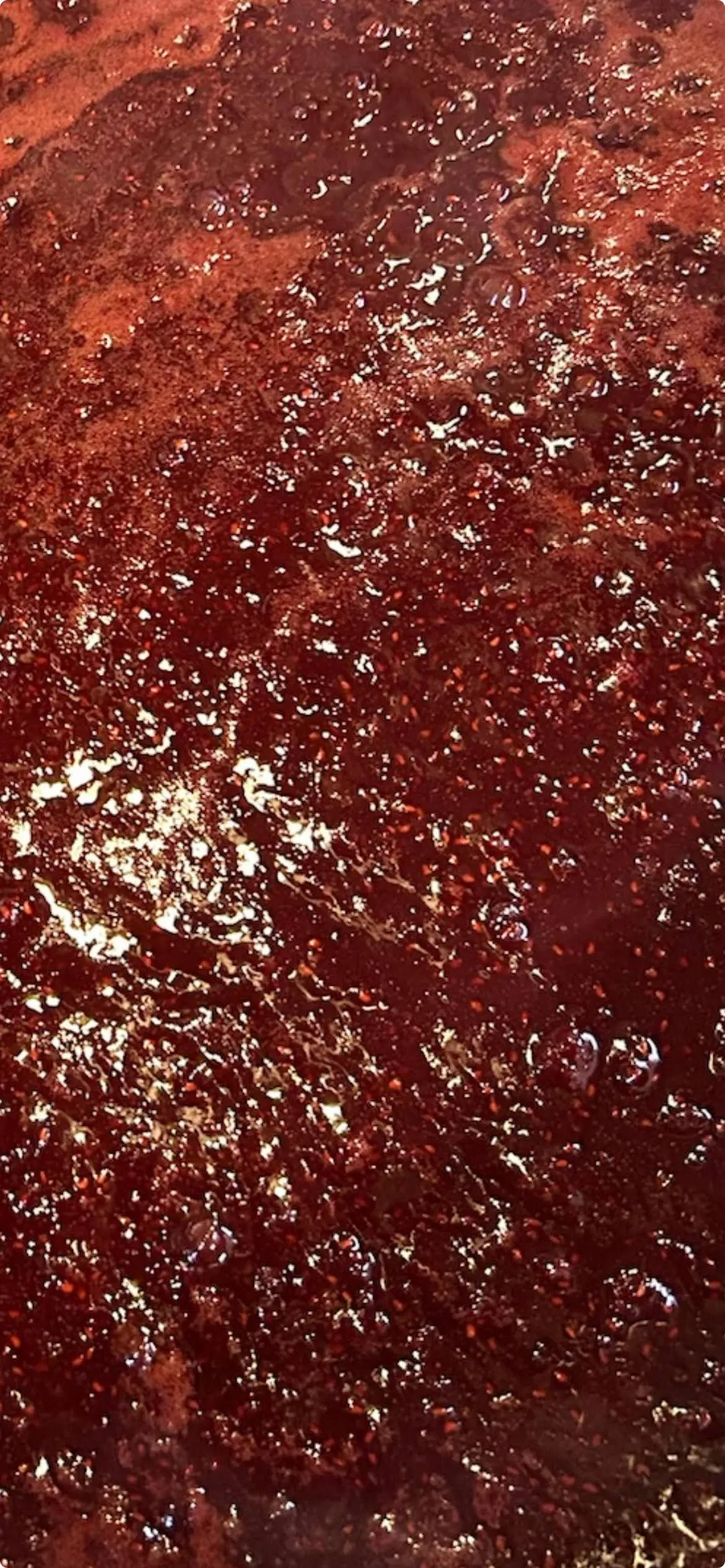 Raspberry Chocolate Preserves - 9oz jars