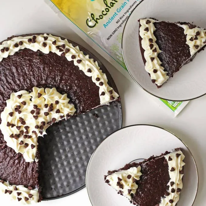 GF Chocolate Cake Mix