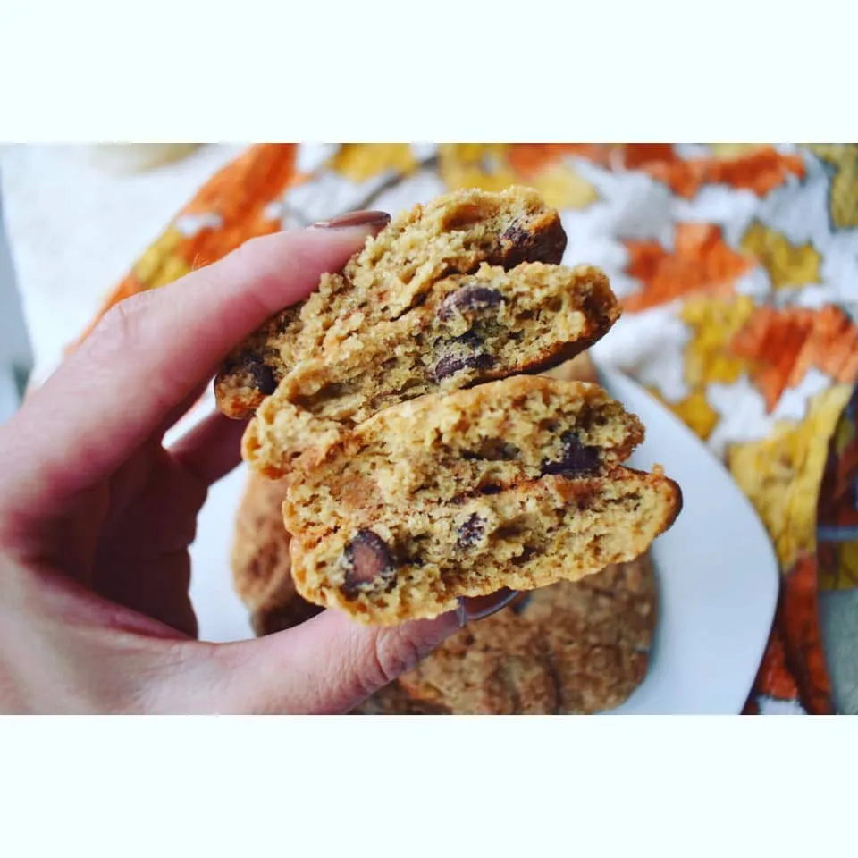 GF Chocolate Chip Cookie Mix