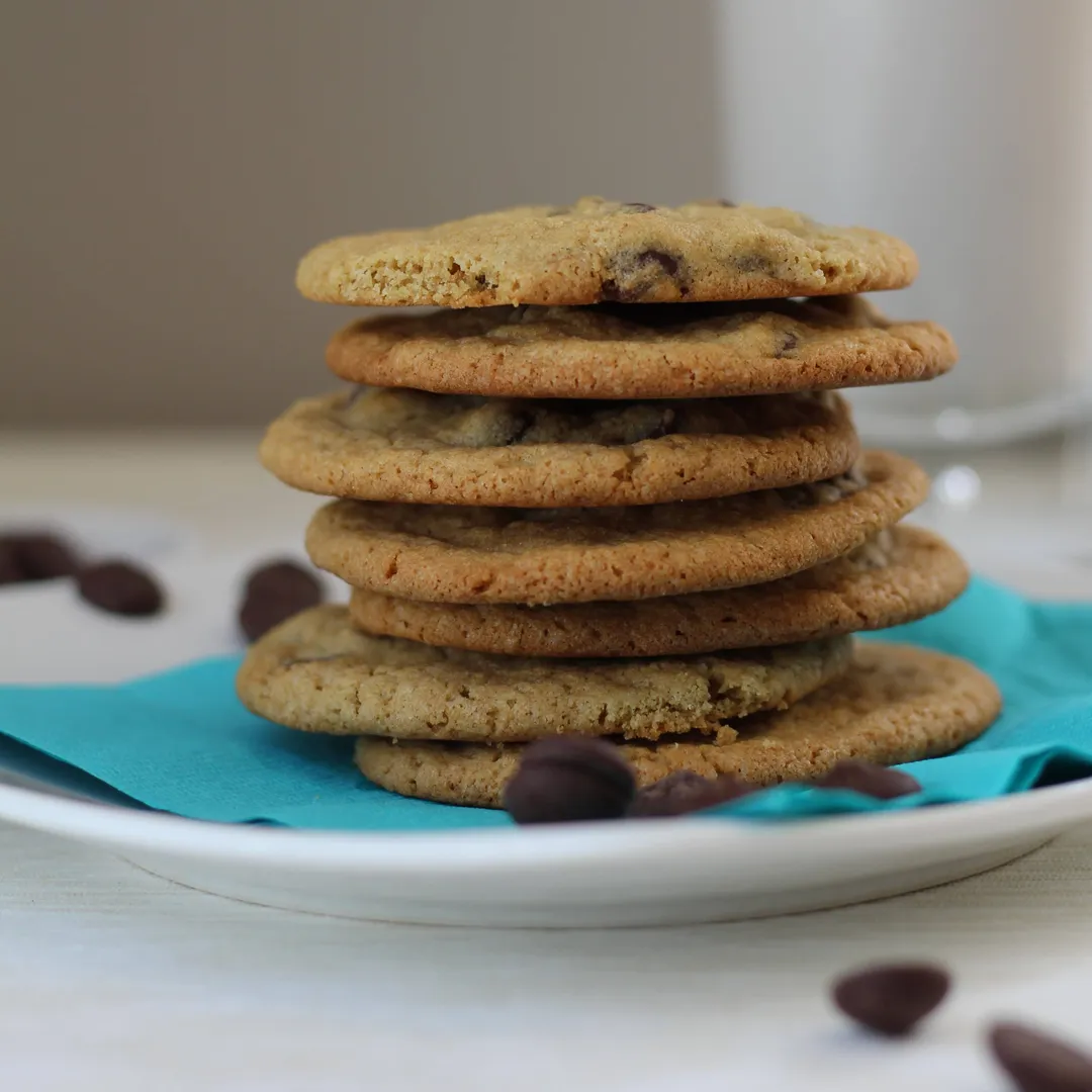 GF Chocolate Chip Cookie Mix