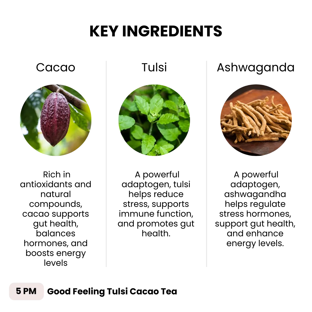 Joulebody Good Feeling Tulsi Tea | Organic Caffeine-Free Evening Wind-Down Tea