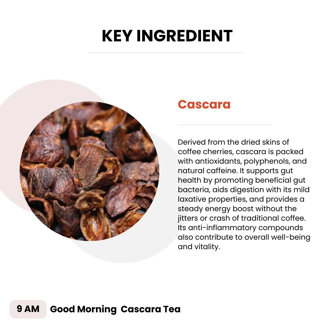 Joulebody Good Morning Cascara Tea | Organic Herbal Wake-Up Tea | Lightly Caffeinated