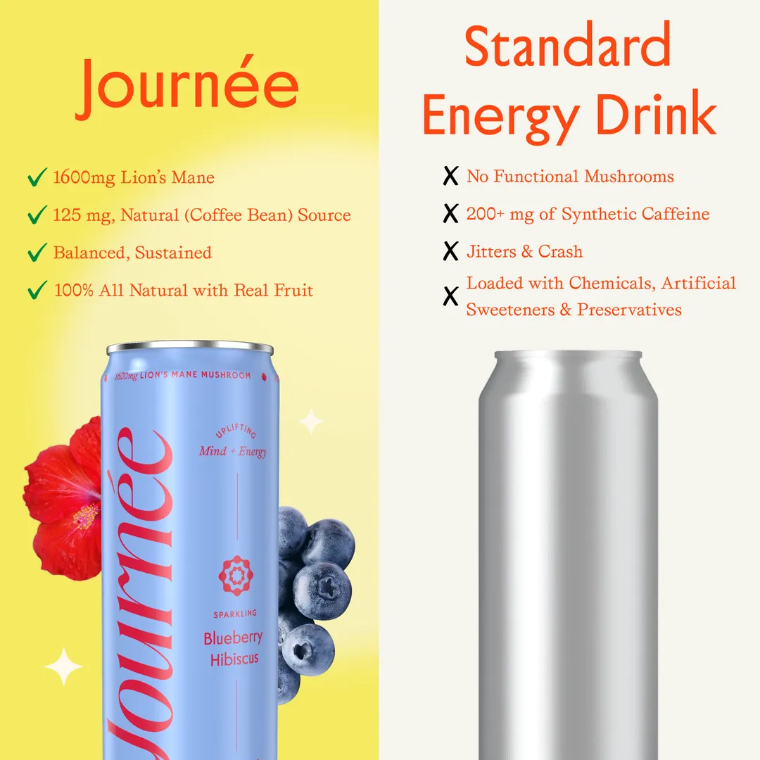Blueberry Hibiscus Functional Energy Drink 12 pack 