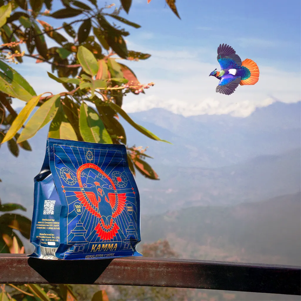 Kamma Himalayan Coffee — Light Roast | Single-Origin Nepal Specialty Coffee
