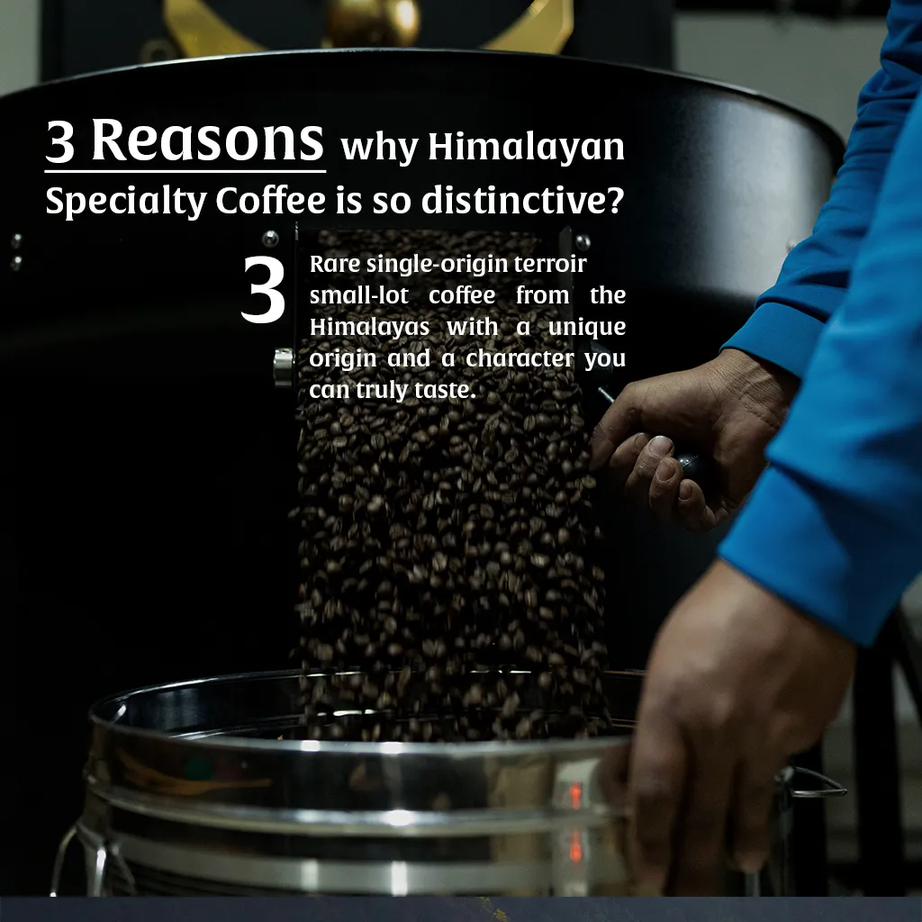 Kamma Himalayan Coffee — Medium Dark Roast | Himalayan Single-Origin Arabica