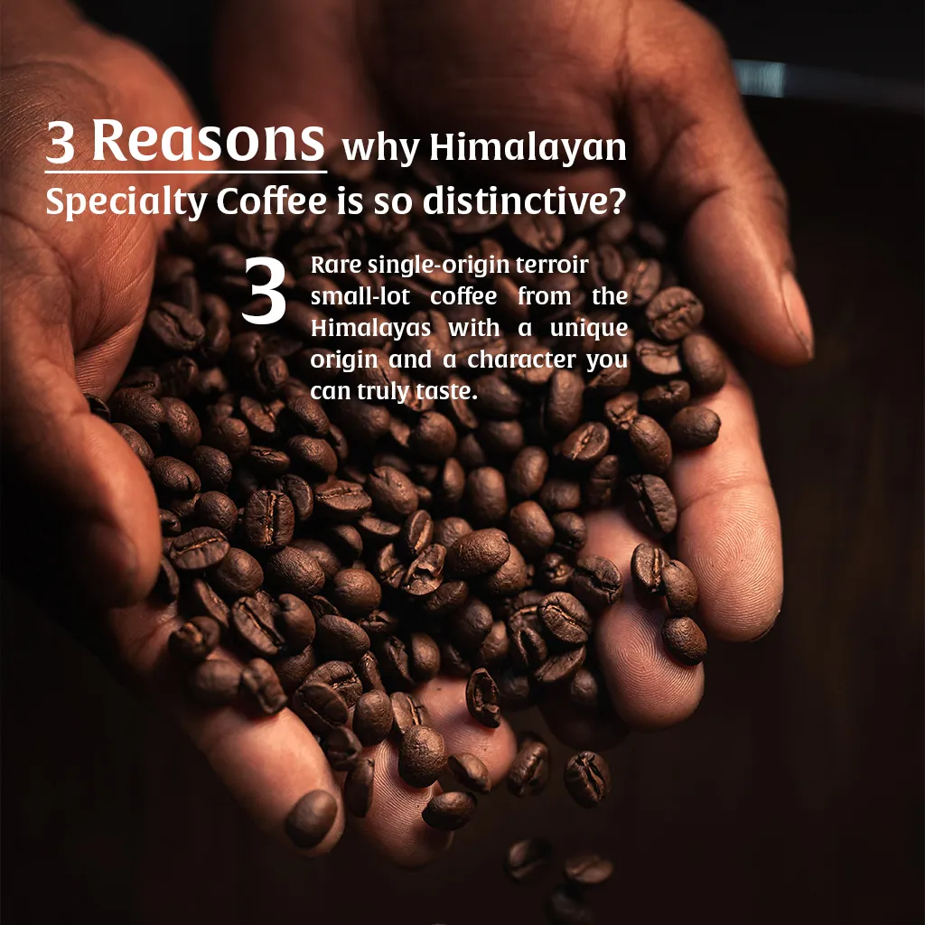 Kamma Himalayan Coffee — Medium Dark Roast | Himalayan Single-Origin Arabica