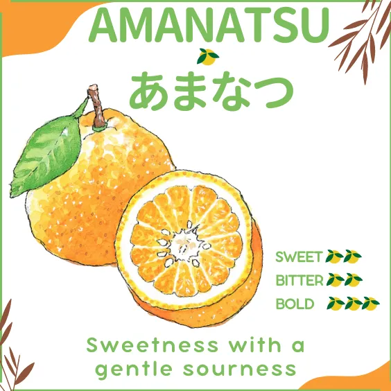 Dry Candied Japanese Citrus Peel | Amanatsu (あまなつ) | 2.2 Lbs