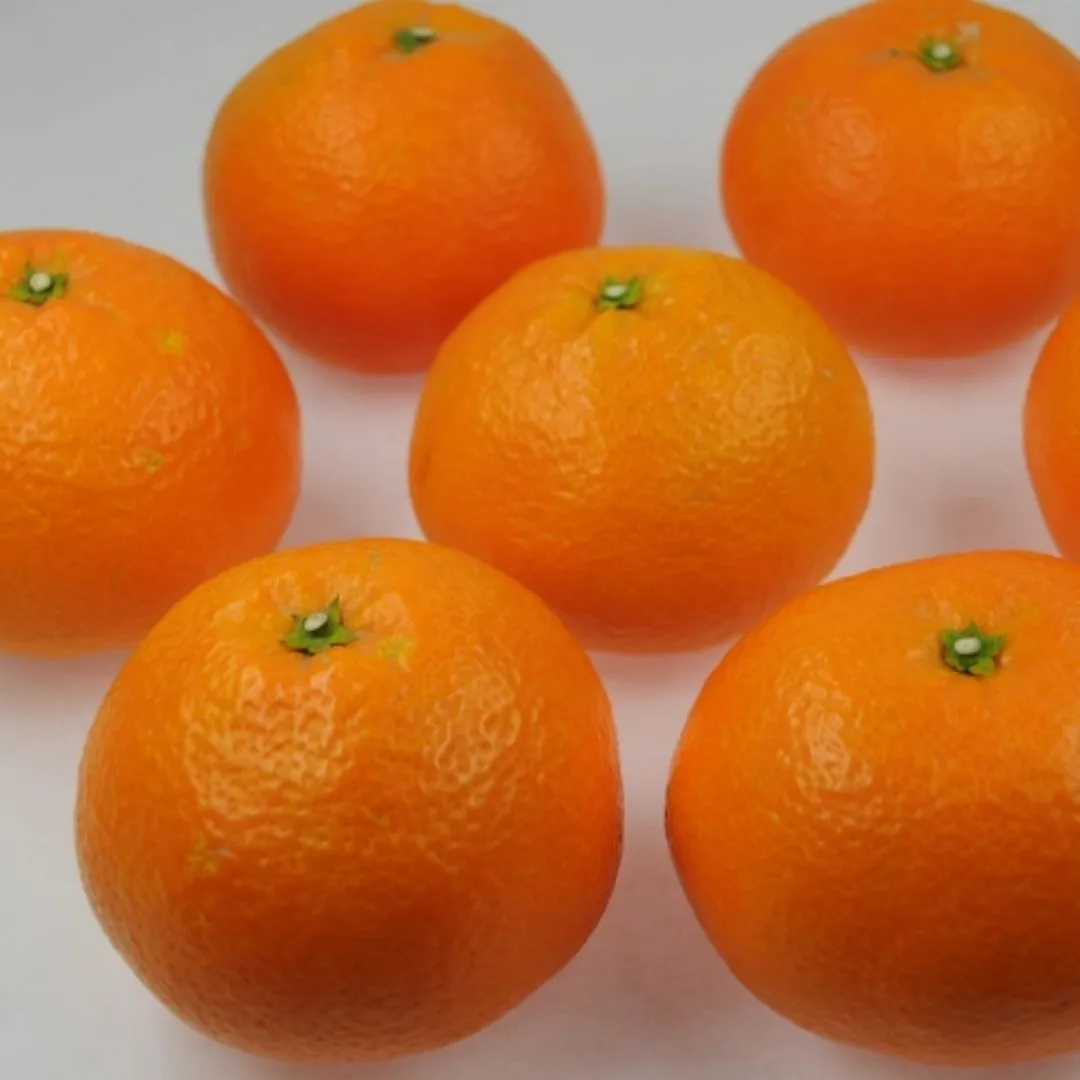 Dry Candied Japanese Citrus Peel | Iyokan (いよかん) | 1.05 oz Bags