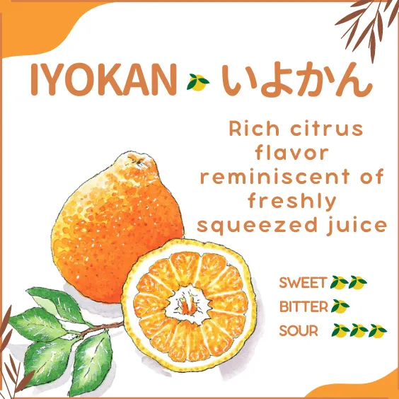 Dry Candied Japanese Citrus Peel | Iyokan (いよかん) | 2.2 Lbs