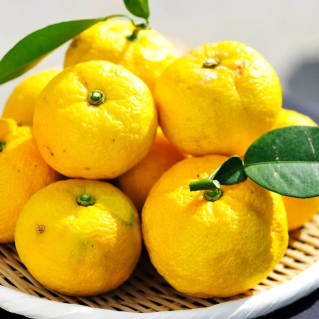 Dry Candied Japanese Citrus Peel | Yuzu (ゆず) | 1.05 oz Bags
