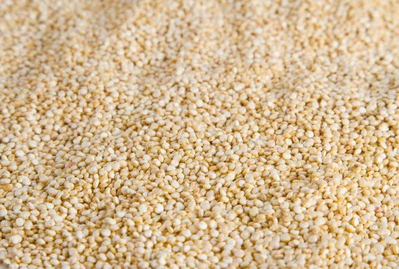 Organic Quinoa