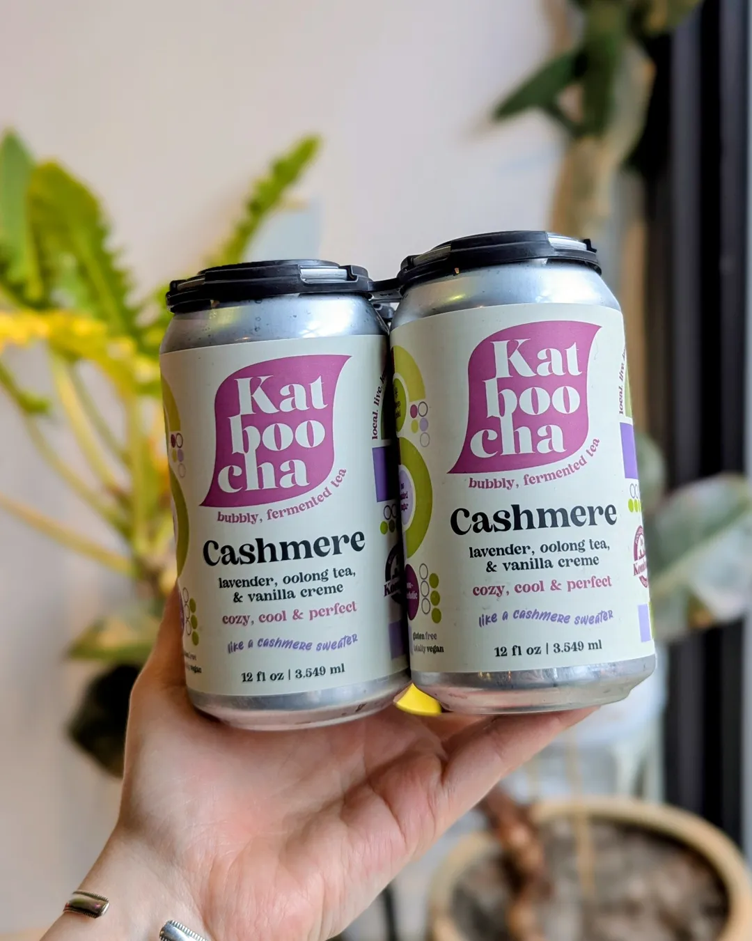 Katboocha NA Kombucha