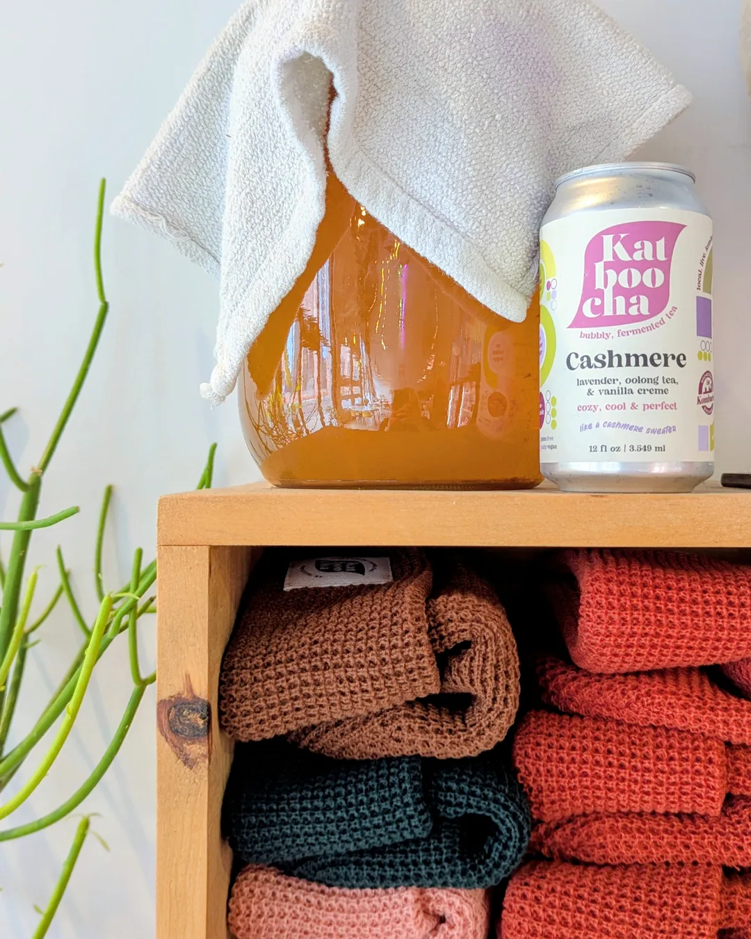Katboocha NA Kombucha