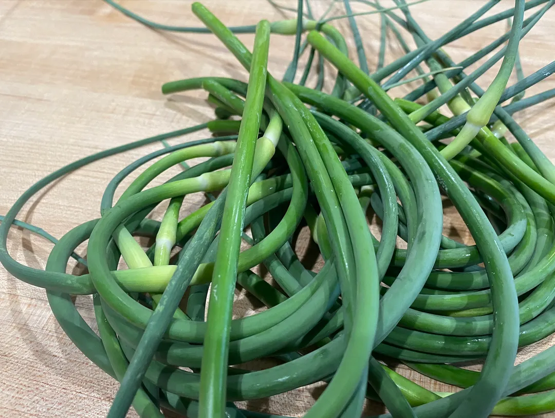 Garlic Scape Sea Salt *Award Winning*