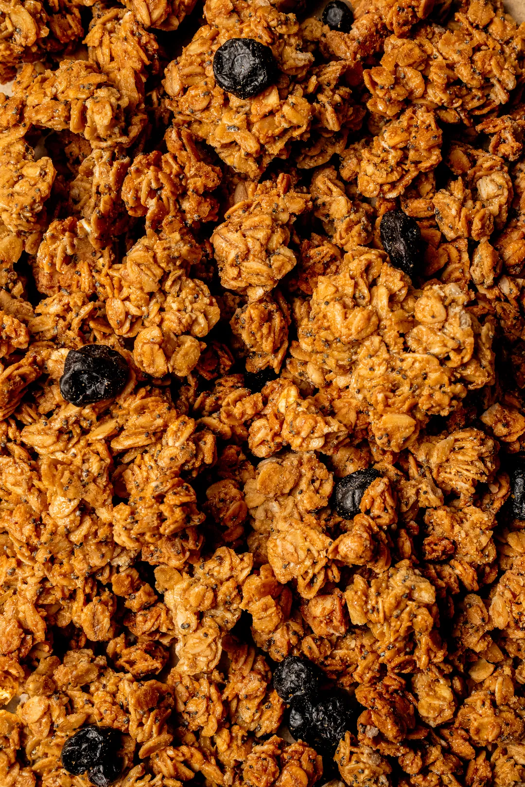 Lemon Blueberry Poppyseed Granola, 8oz
