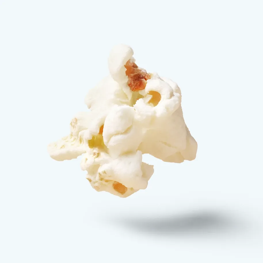 Olive Oil and Sea Salt Protein Popcorn (Standard Size)