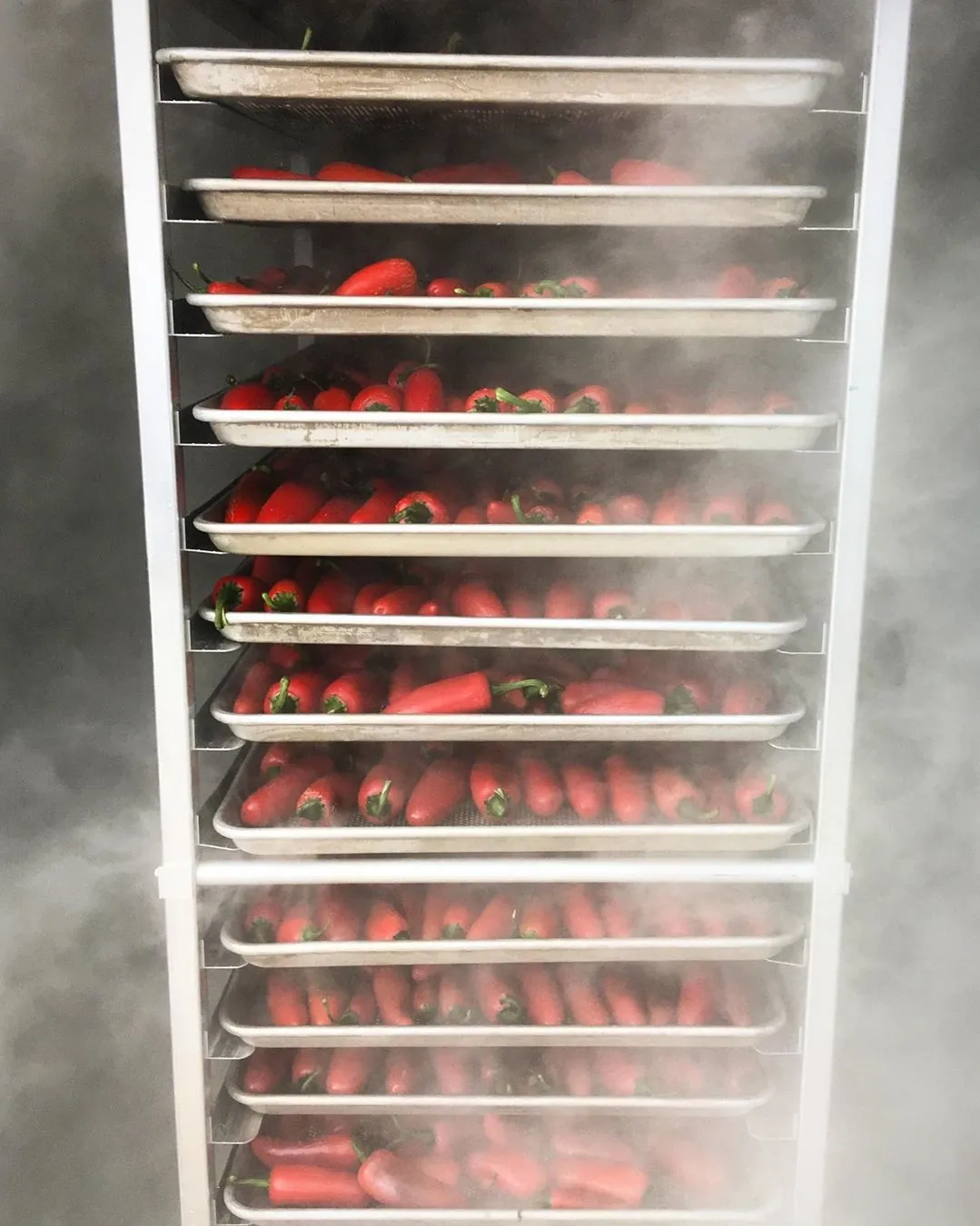 Organic Dried Smoked Chipotle Peppers