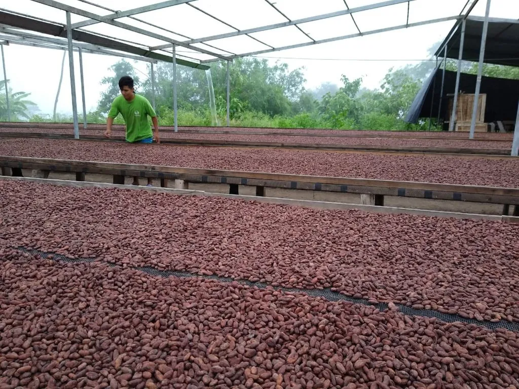Sisa 70% - Peru