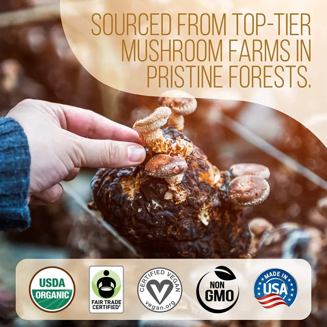 Ground Brazilian Mushroom Coffee (Ground)