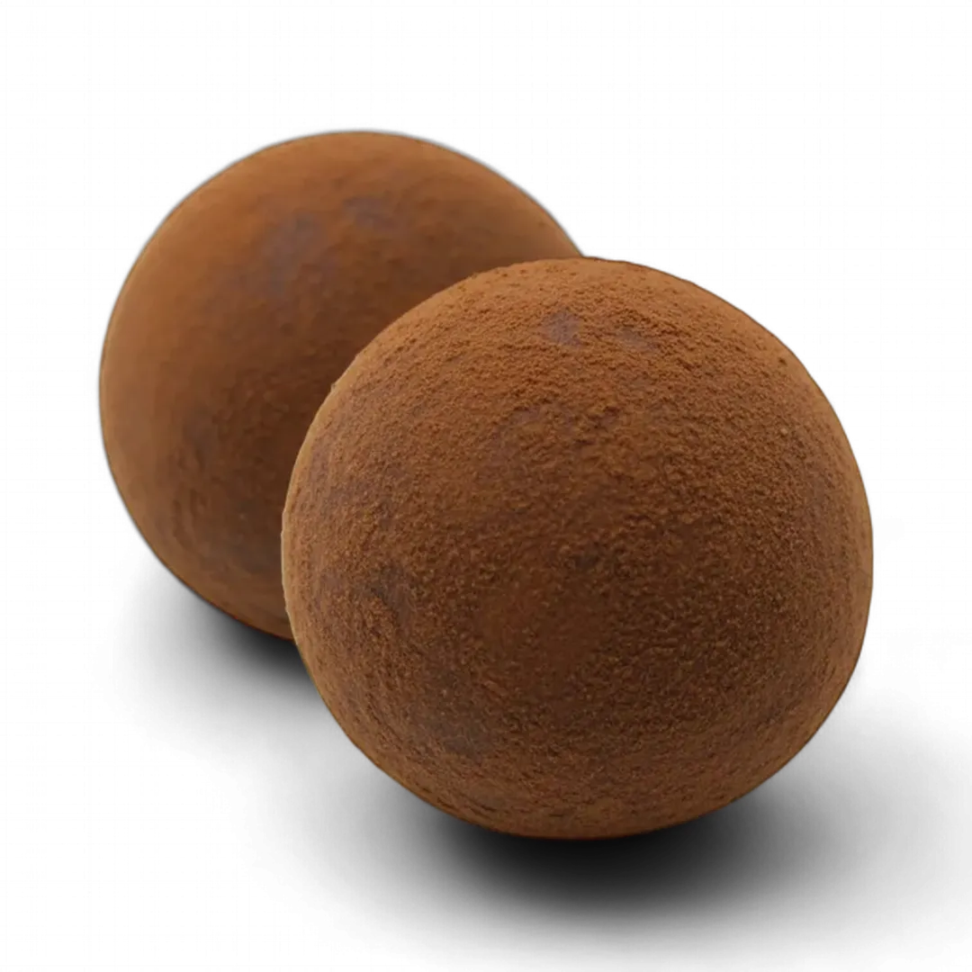 Artisan chocolate truffle