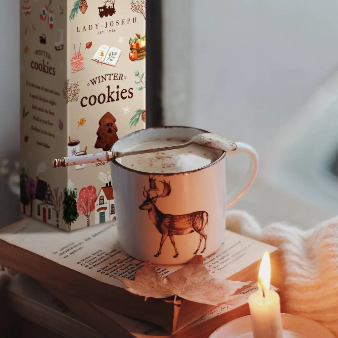 Chocolate Cookies Winter Edition