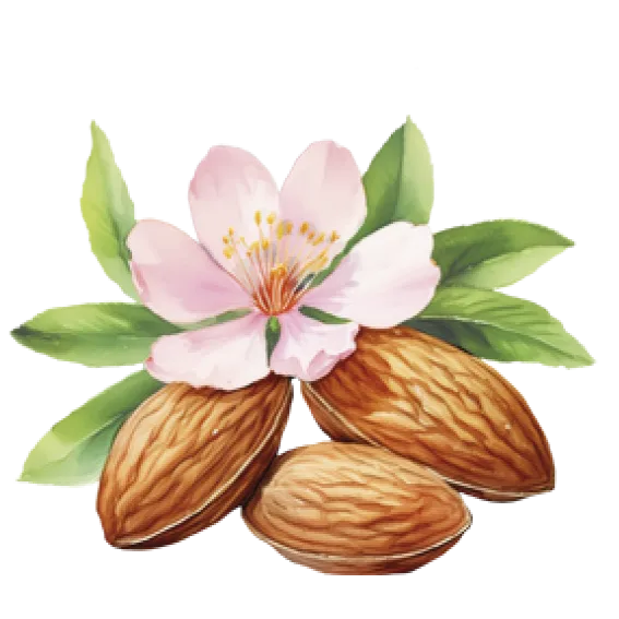 Crips with Marcona almonds for cheese. 100g 3.5oz
