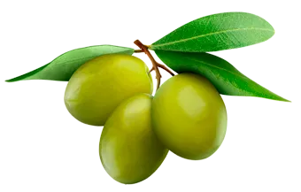 Maxi Cracker With Green Olives & Olive Oil 