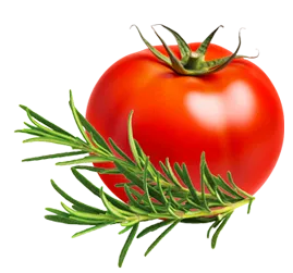 Maxi Cracker With Tomato, Rosemary & Olive Oil Snack Cracker