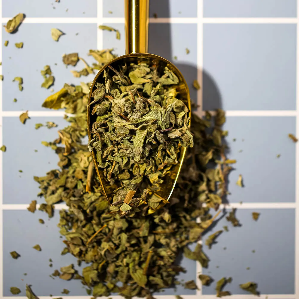 Jordanian Wild Thyme
