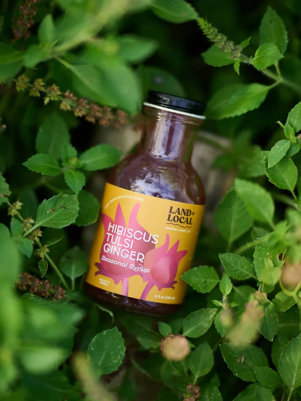 Hibiscus Tulsi Ginger Seasonal Mixer 8oz
