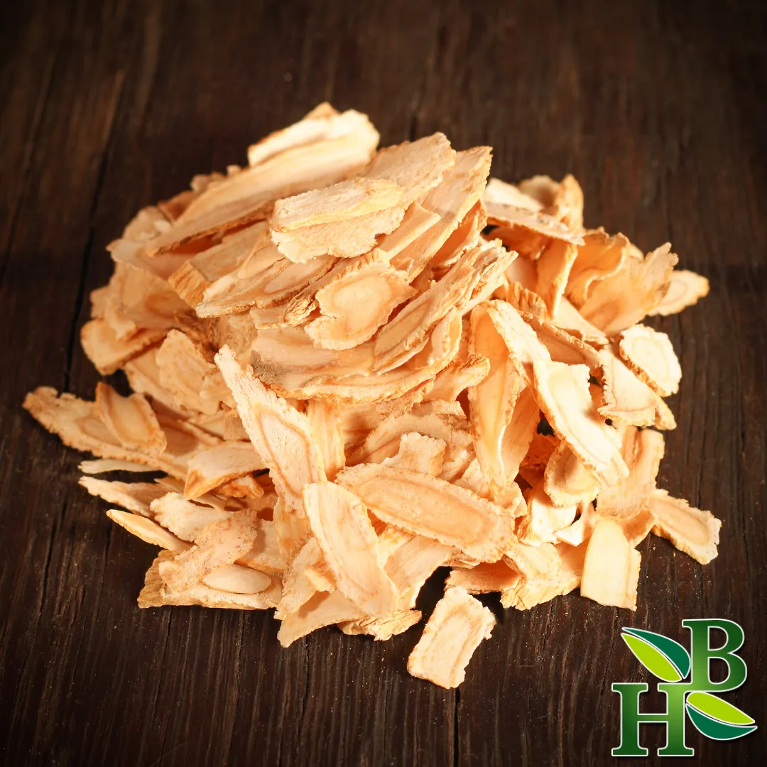 Angelica Root Powder 