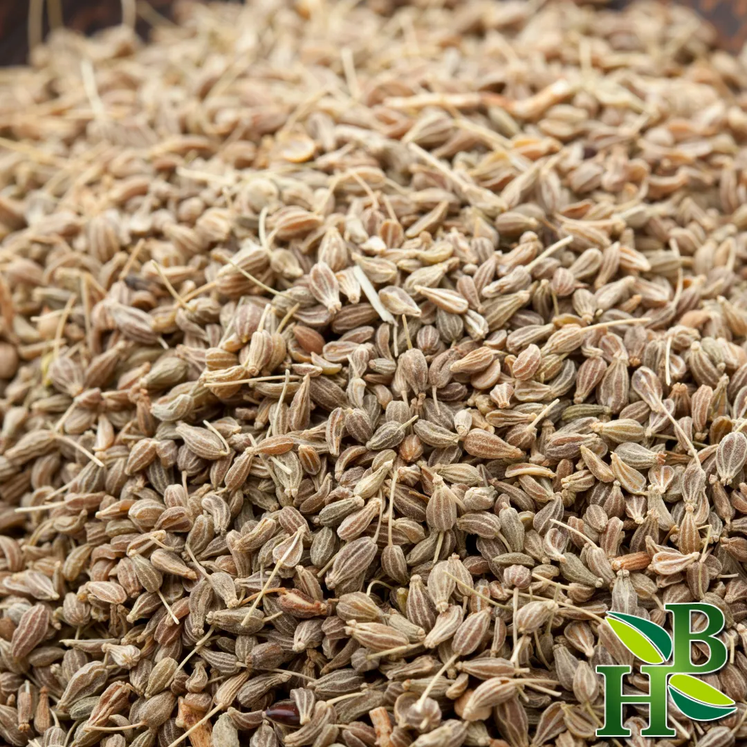 Anise Seed Whole