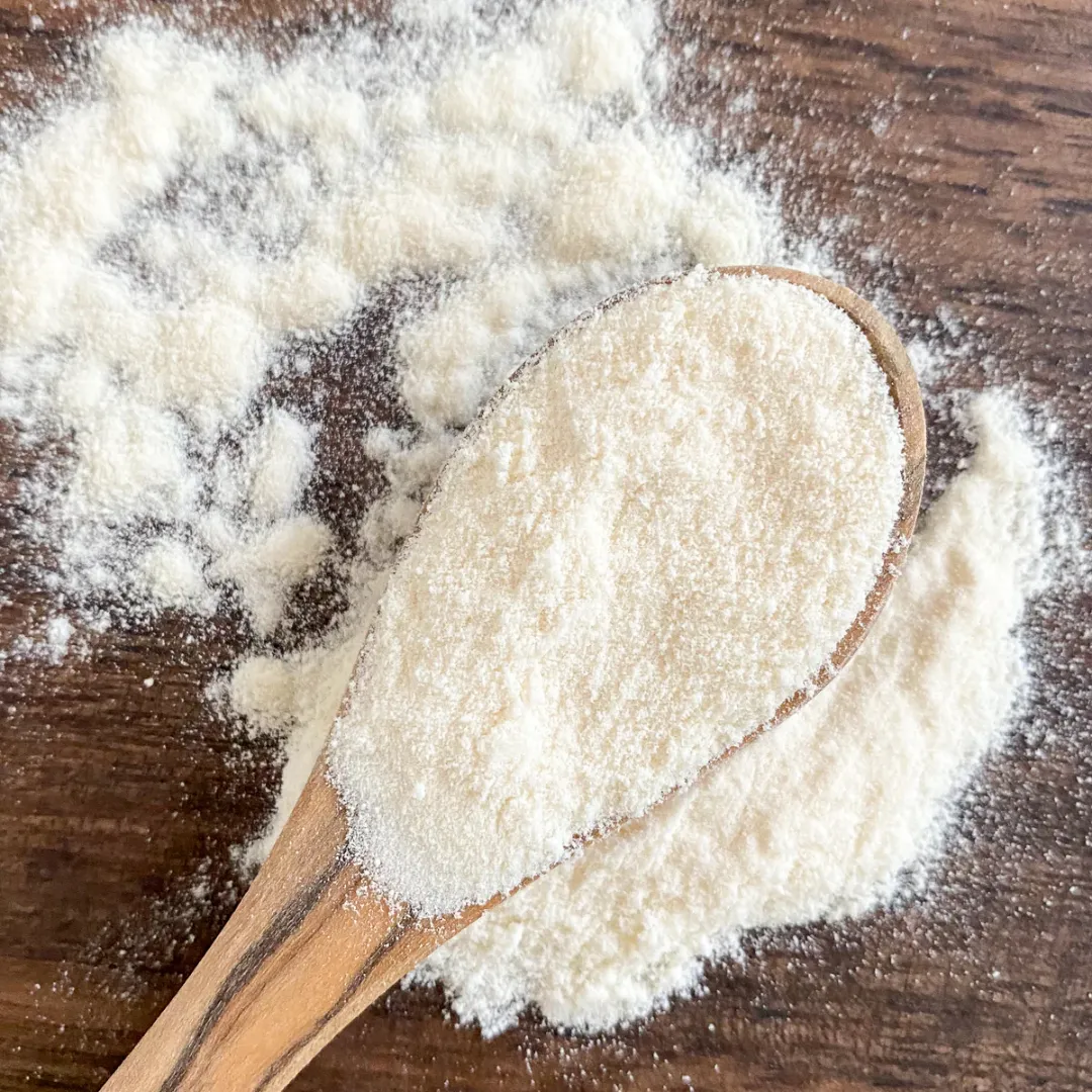 Apple Cider Vinegar Powder