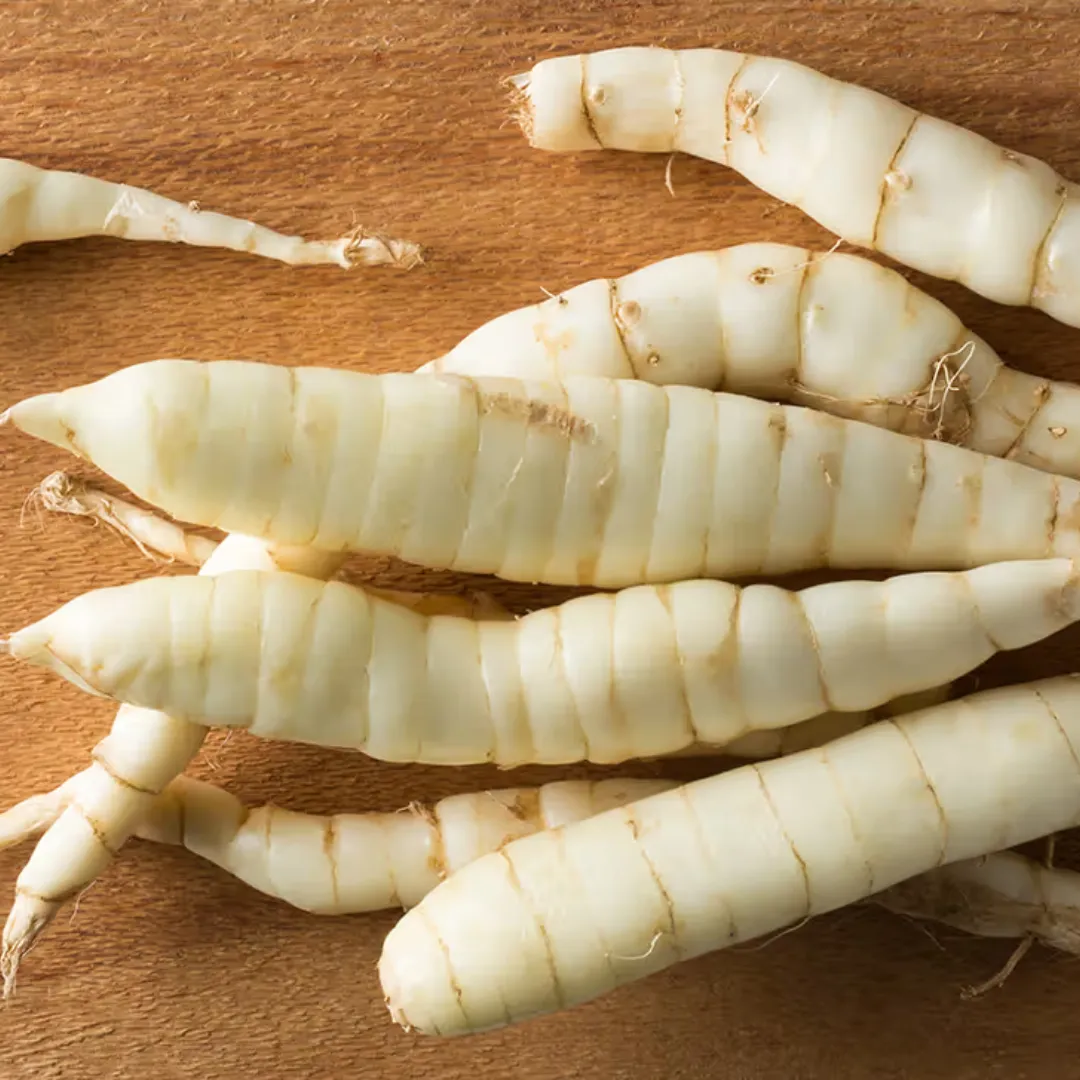 Arrow Root Powder 