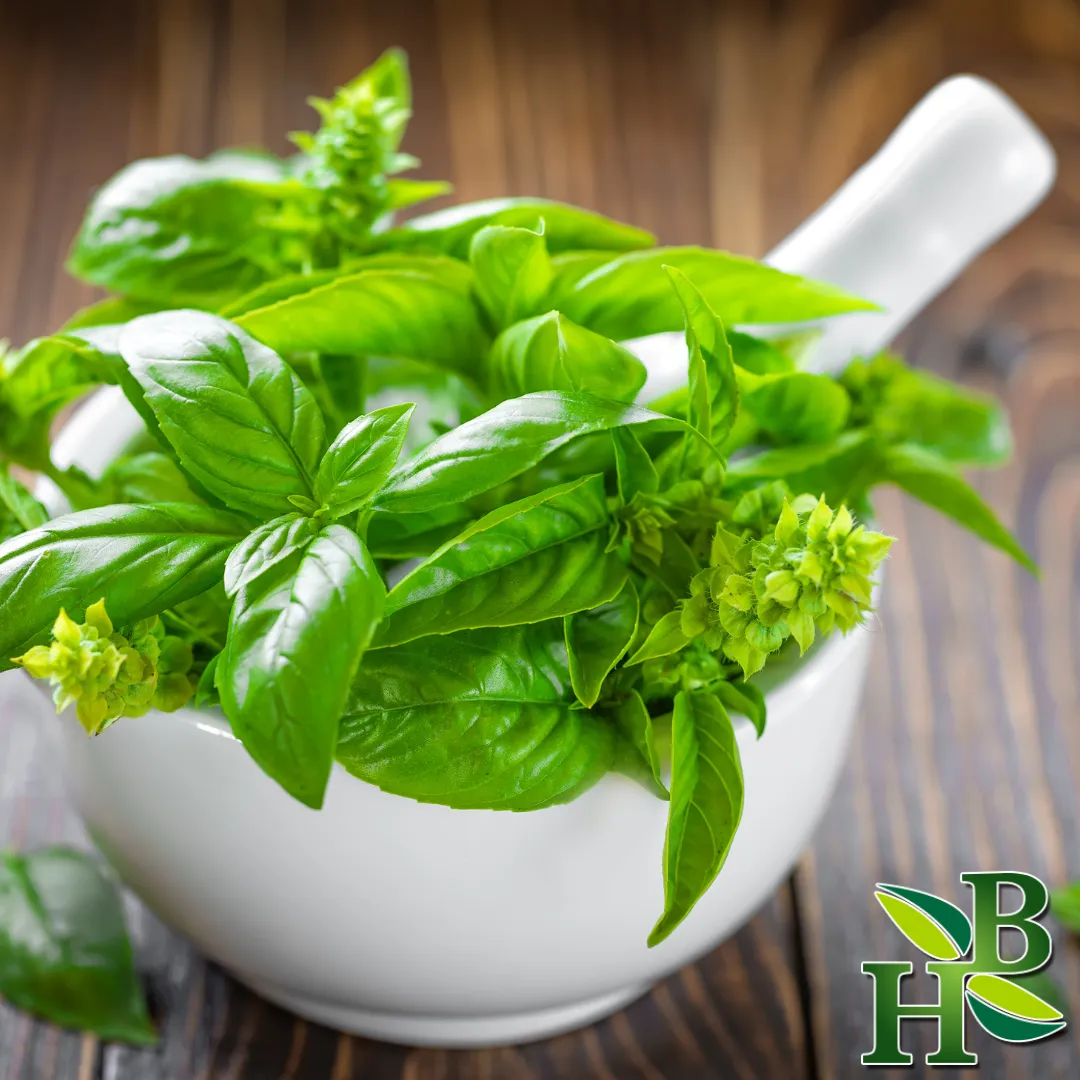 Basil Leaf c/s