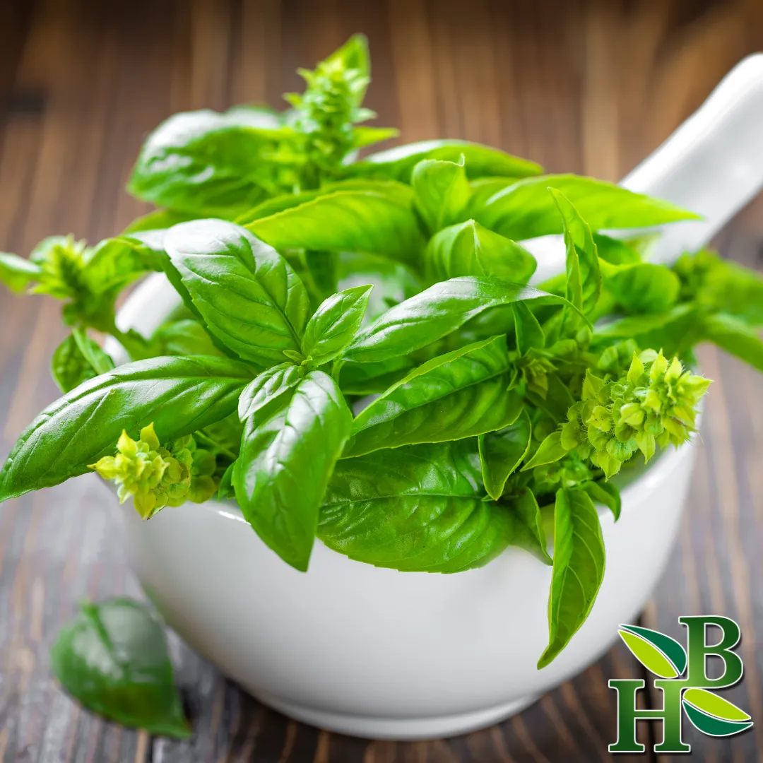 Basil Leaf Powder