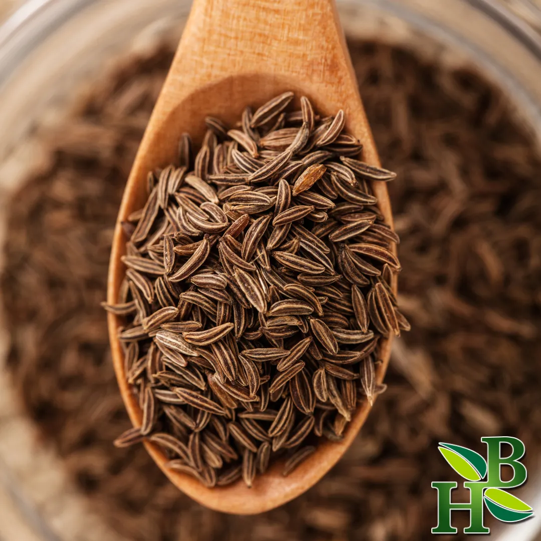 Caraway Seed Whole 4oz