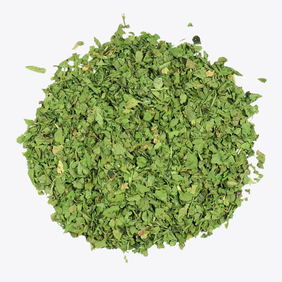 Cilantro Leaf C/S
